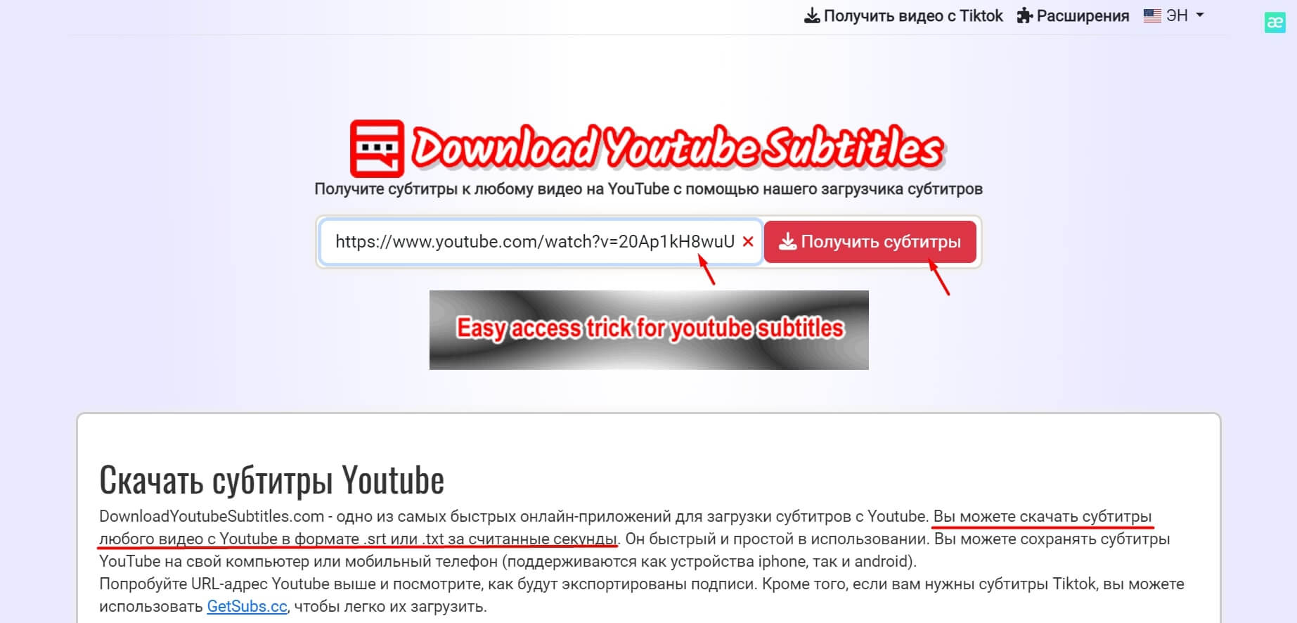 Downloader YouTube Subtitle